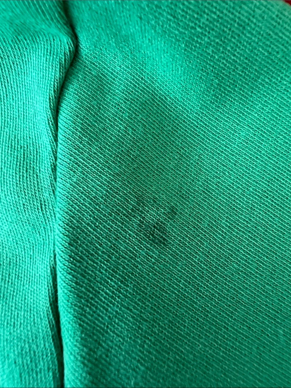 Polo Ralph Lauren Green Polo Shirt Men's Small Purple Pony Classic Fit Cotton